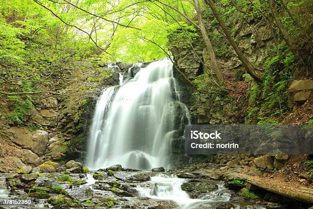Водопад Свежей Зеленой — стоковые фотографии и другие картинки Satoyama - Scenery - Satoyama - Scenery, Азия, Брызги