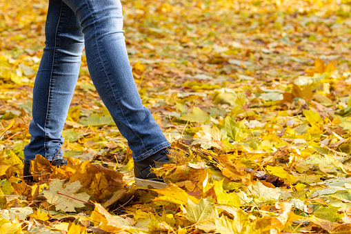 man kicking yellow leaves in autumn park. woman walking in the park in autumn. walk through the autumn park