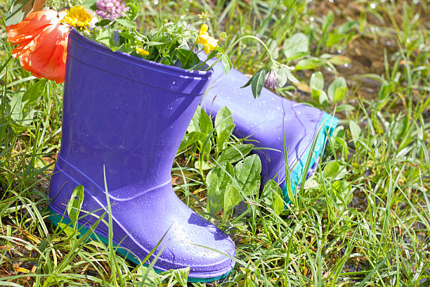 istock Wellingtons with flowers in spring rainy day 178153110