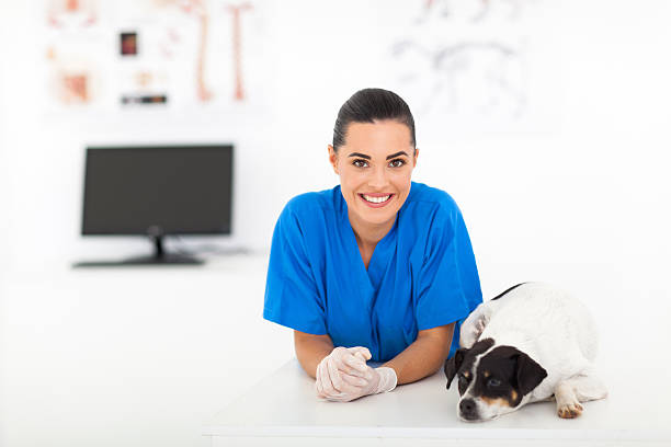 female veterinarian and dog in animal hospital