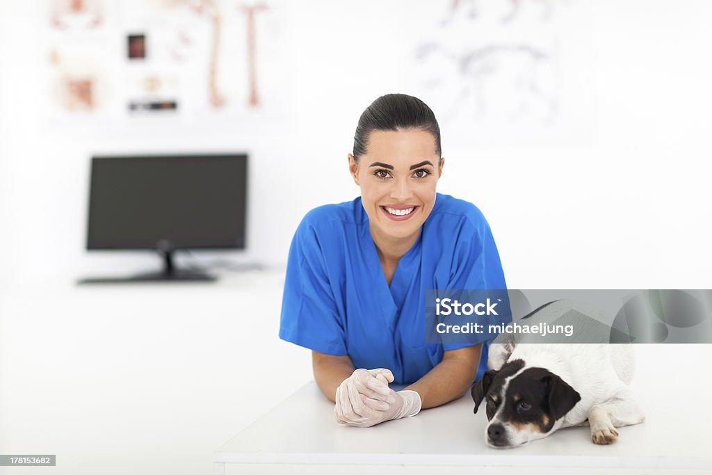 Feminino veterinário e cão - Royalty-free Adulto Foto de stock