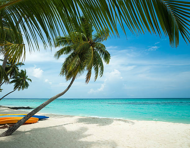 istock Perfect tropical island paradise beach 178154058
