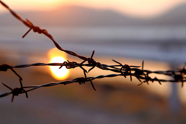Barbed wire Barbed wire on sunset sky war zone stock pictures, royalty-free photos & images