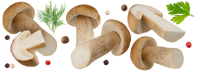 Levitation porcini mushrooms isolated on white background. Boletus mushrooms, dill, parsley and a mix of peppers. Package design element.