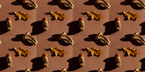 Brown background with mushrooms and autumn leaf. pattern