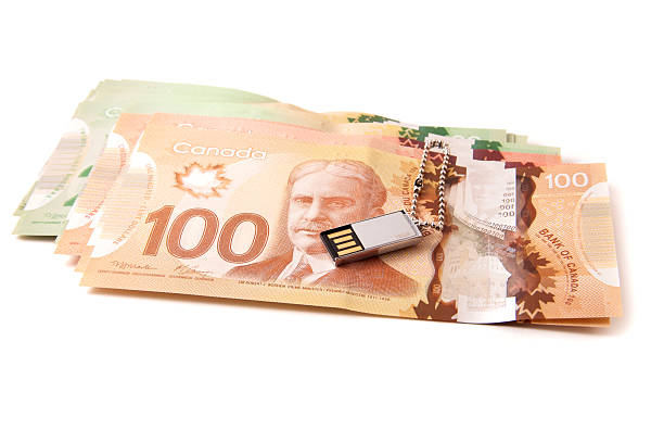 istock Canadian bank notes with a small USB stick 178155748