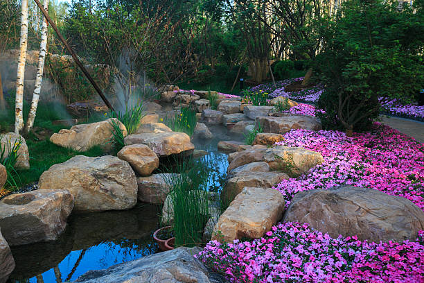 Aquatic garden in a home backyard,