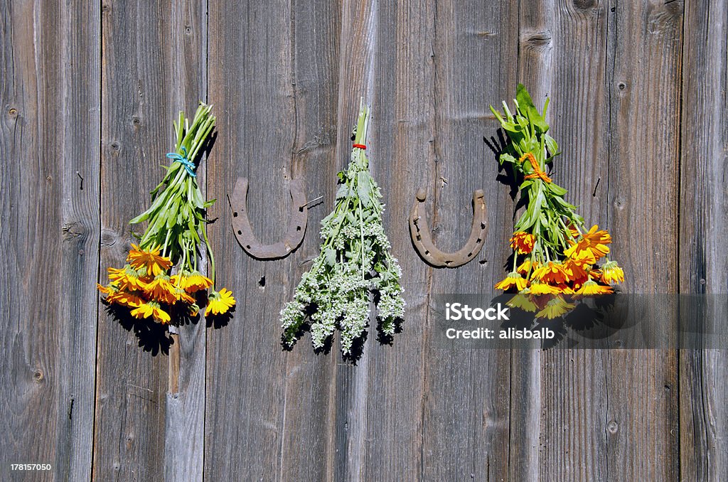 rusty horseshoe ant bunchs d'herbes aromatiques sur le mur - Photo de Acier libre de droits