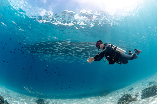 Underwater scuba diving. Male diver swimming with a school of barracuda fish in crystal clear blue water at Racha island, one of the beautiful dive sites of Andaman Sea in Phuket, Thailand.