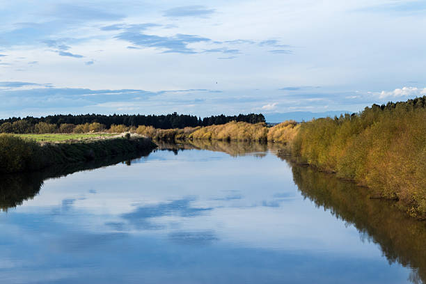 Stillness Manawatu River Looking up stream of the wide and still Manawatu river. manawatu river stock pictures, royalty-free photos & images