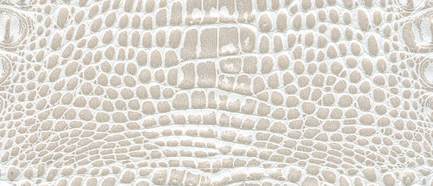 istock texture of skin 178158360