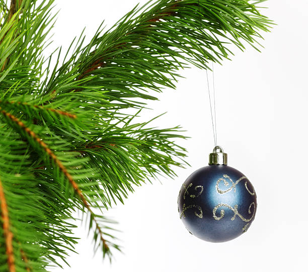 istock blue decoration ball on fir branch 178158470