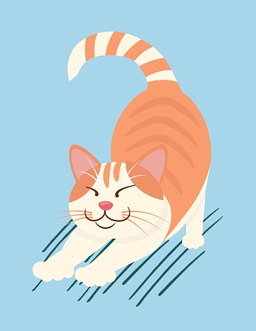 The orange cat with stripes stretches. Cute cartoon character in flat style on a blue background. Domestic animal. Vector illustration for pet food packaging design, print, flyer or posters.