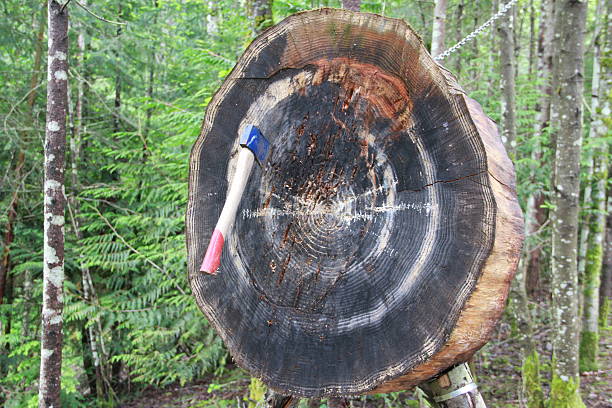 Off the Mark A hatchet is thrown at a target.  It misses the intended mark in the middle. axe throwing stock pictures, royalty-free photos & images