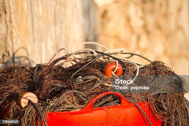 Pescador De Net Foto de stock y más banco de imágenes de Captura de peces - Captura de peces, Color - Tipo de imagen, Con textura