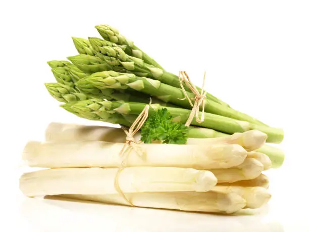 Asparagus on white Background