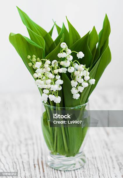 Photo libre de droit de Bouquet De Lys De La Vallée banque d'images et plus d'images libres de droit de Arbre en fleurs - Arbre en fleurs, Aubépine - Plante, Beauté de la nature