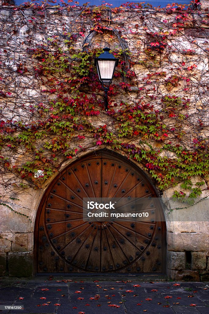 Tor der region - Lizenzfrei Blume Stock-Foto