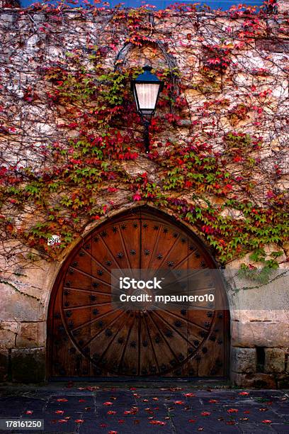 Tor Der Region Stockfoto und mehr Bilder von Blume - Blume, Braun, Fotografie