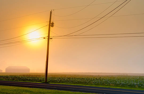istock Rural road telephone pole 178161451