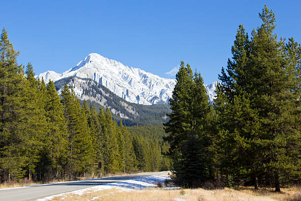 istock Rocky Mountains in Banff National Park 178161709