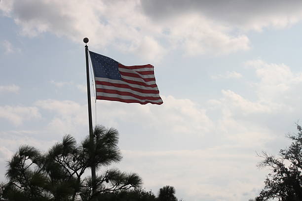 istock USA Flag through the pine trees 178161881