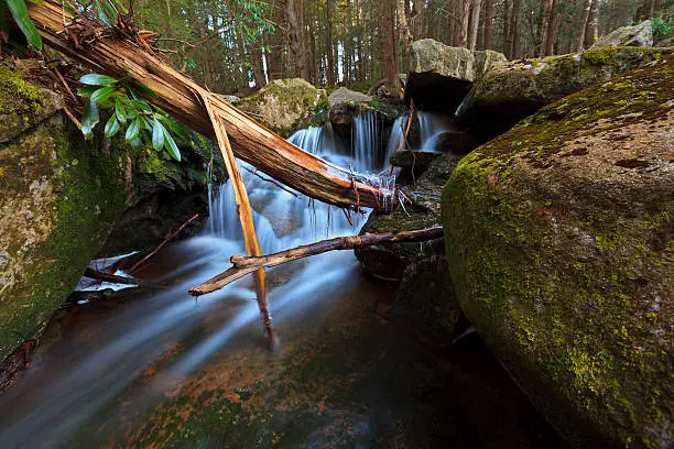 Photo of Waterfalls, tannin colored stream and rocks