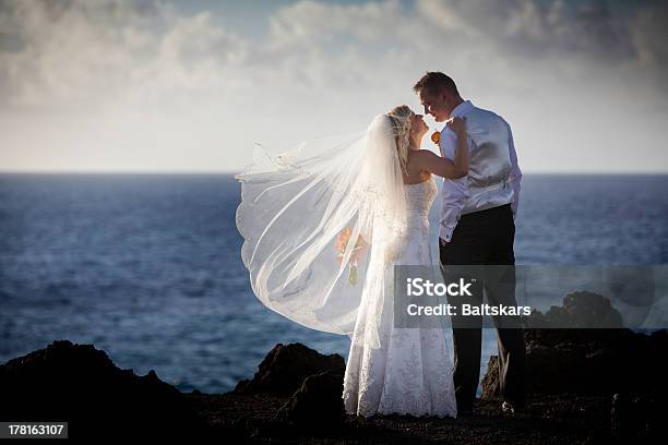 Noiva E Noivo - Fotografias de stock e mais imagens de Acordo - Acordo, Adulto, Amor