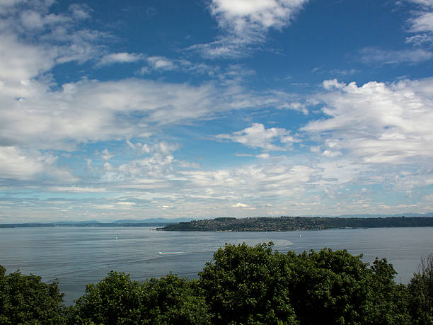 View of Brown's Point, Washington