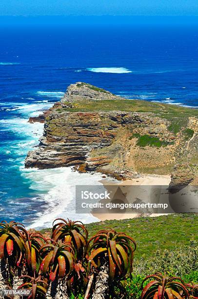 Cabo Da Boa Esperança - Fotografias de stock e mais imagens de Ao Ar Livre - Ao Ar Livre, Colónia - Grupo de animais, Cultura Portuguesa