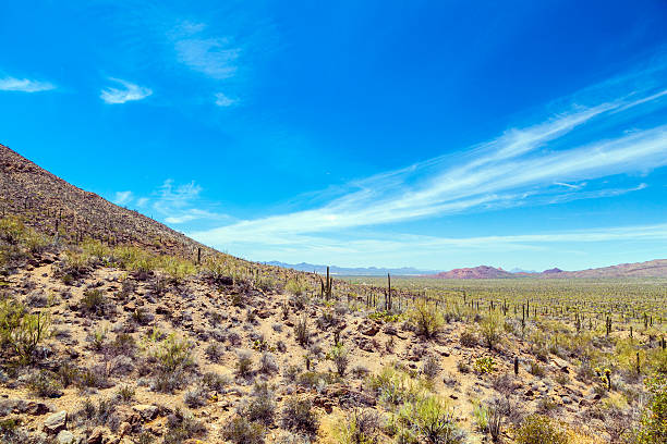 istock beautiful mountain desert landscape with cacti 178164794