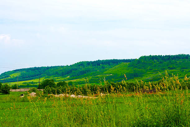 paesaggio - foto stock