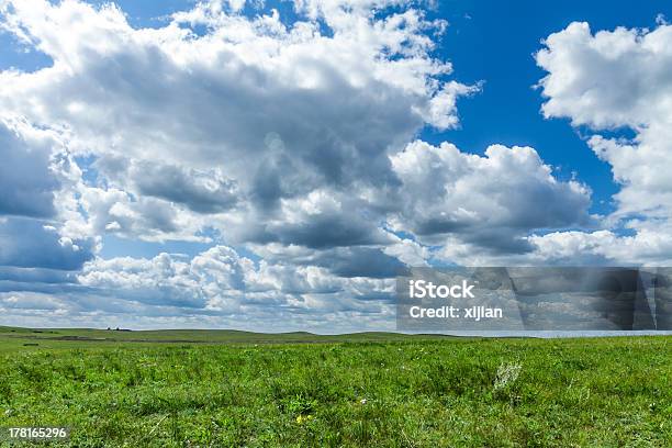 Prado Mongólia - Fotografias de stock e mais imagens de Agricultura - Agricultura, Amarelo, Ao Ar Livre