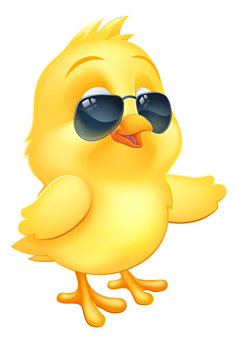 A cool Easter baby chick chicken bird cartoon character in sunglasses or shades pointing a wing