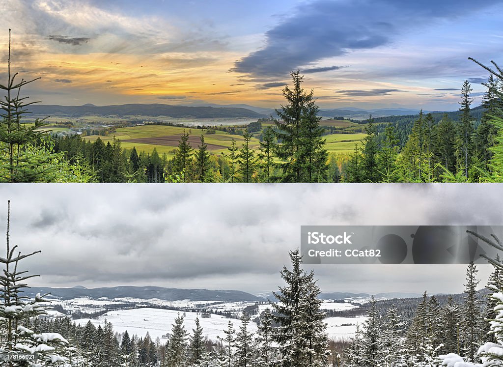 Paysages panoramiques, 2 seasons - Photo de Arbre libre de droits