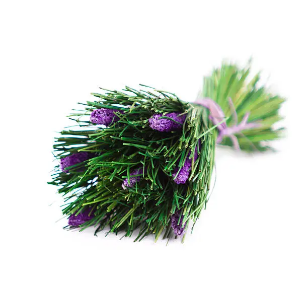 a bunch of lavender flowers on a white background