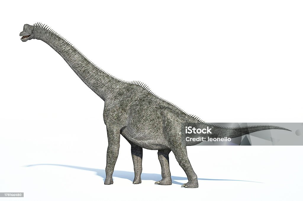 Photorealistic 3 D rendering of a Brachiosaurus. Photorealistic 3 D rendering of a Brachiosaurus. On white background with drop shadow and clipping path included. Dinosaur Stock Photo