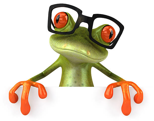 grenouille de loisirs - frog three dimensional shape animal green photos et images de collection