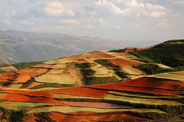 istock China Yunnan red land 178168792