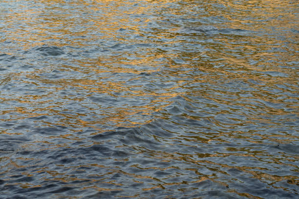 istock abstract water surface with golden reflections and waves 1781698257