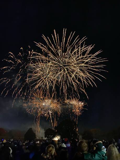 istock Fireworks Display Explosions in the Sky Night Explosion Firework Guy Fawkes 4th July NYE New Year’s Eve Crowds of People from Behind 1781704974