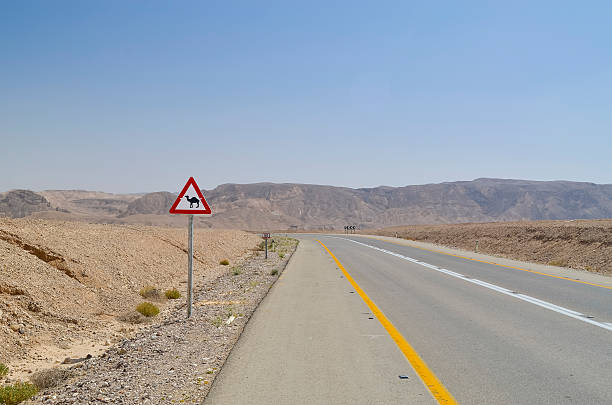 istock Desert road with camel crossing sign 178170880
