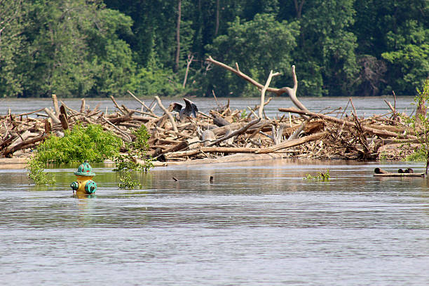 istock Fire Hydrant in Missouri River Flooding June 2013 178171067