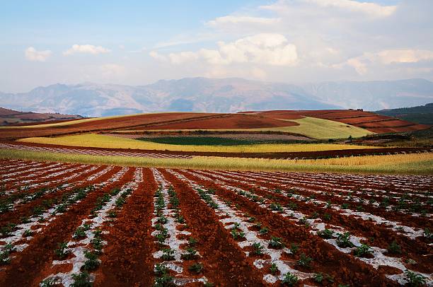 istock China Yunnan red land 178171573