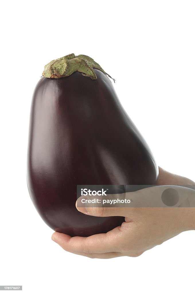 Holding big eggplant Agriculture Stock Photo