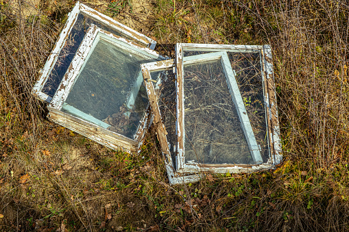 old wooden windows thrown into the grass, close view