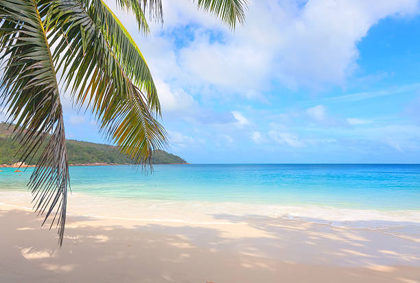istock Tropical beach Anse Lazio, Seychelles 178172982