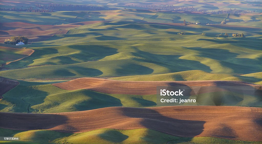 Palouse - Photo de Agriculture libre de droits