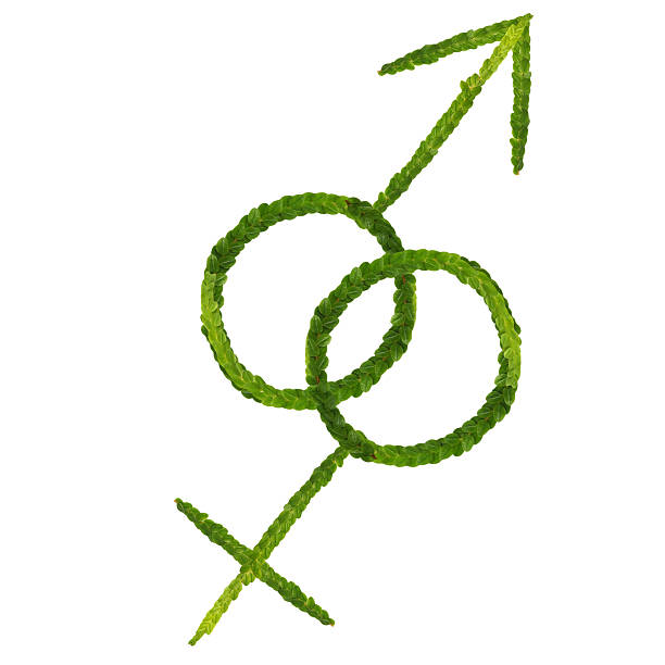 beautiful fern leaf tree gender sign male and female on white background