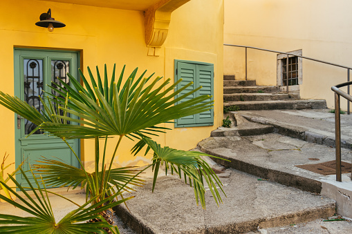 Yellow house with green window and door, steps and potted palm tree. Croatia